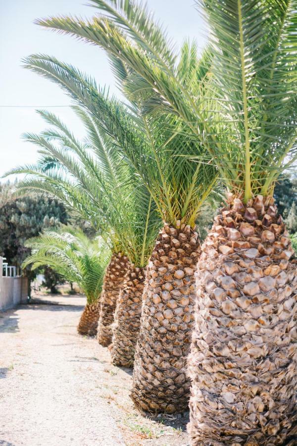 Ktima Tzaneti Villa Lachaniá Buitenkant foto