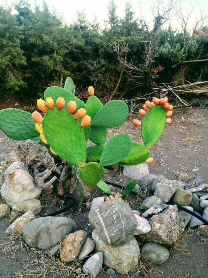 Ktima Tzaneti Villa Lachaniá Buitenkant foto