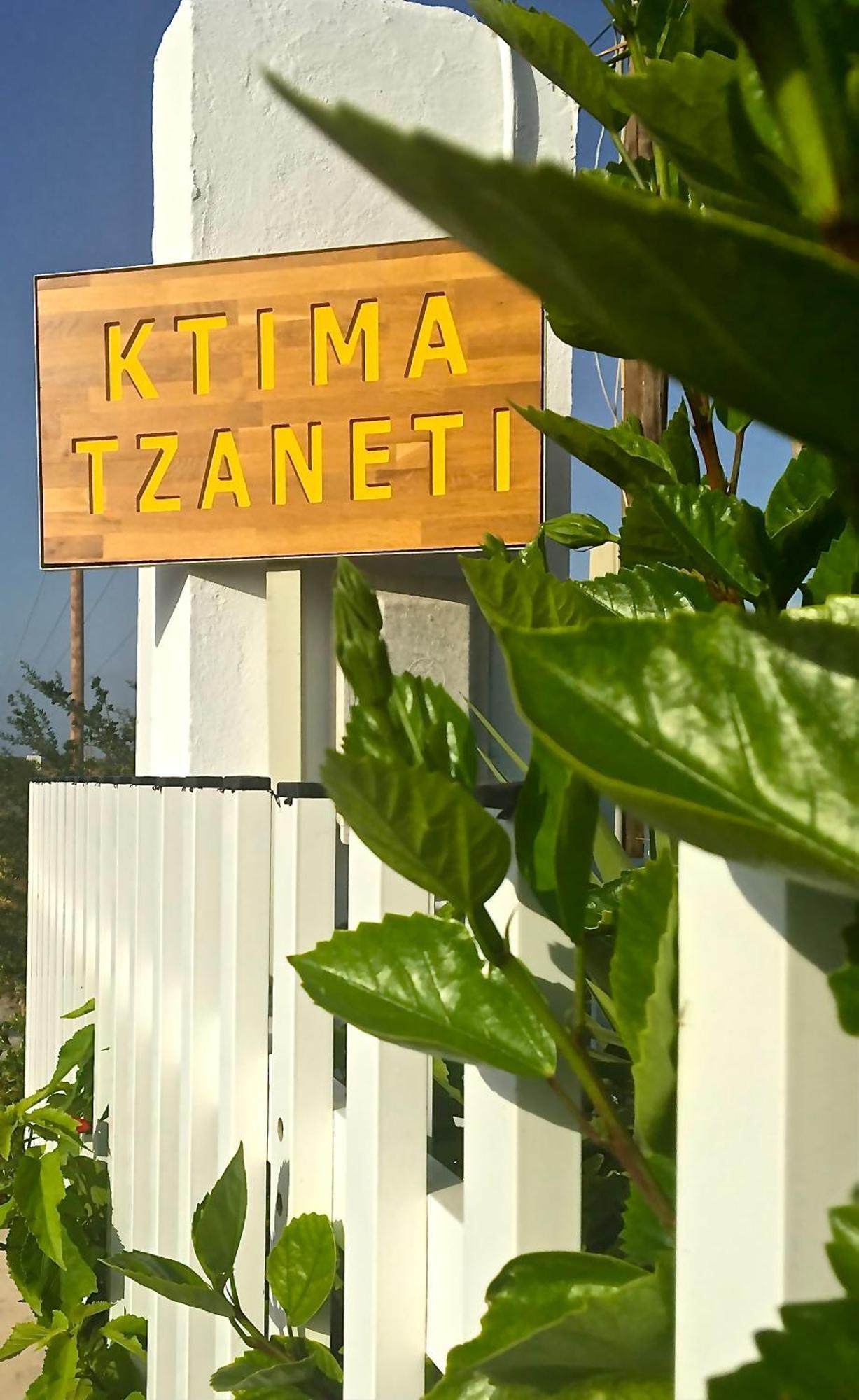 Ktima Tzaneti Villa Lachaniá Buitenkant foto